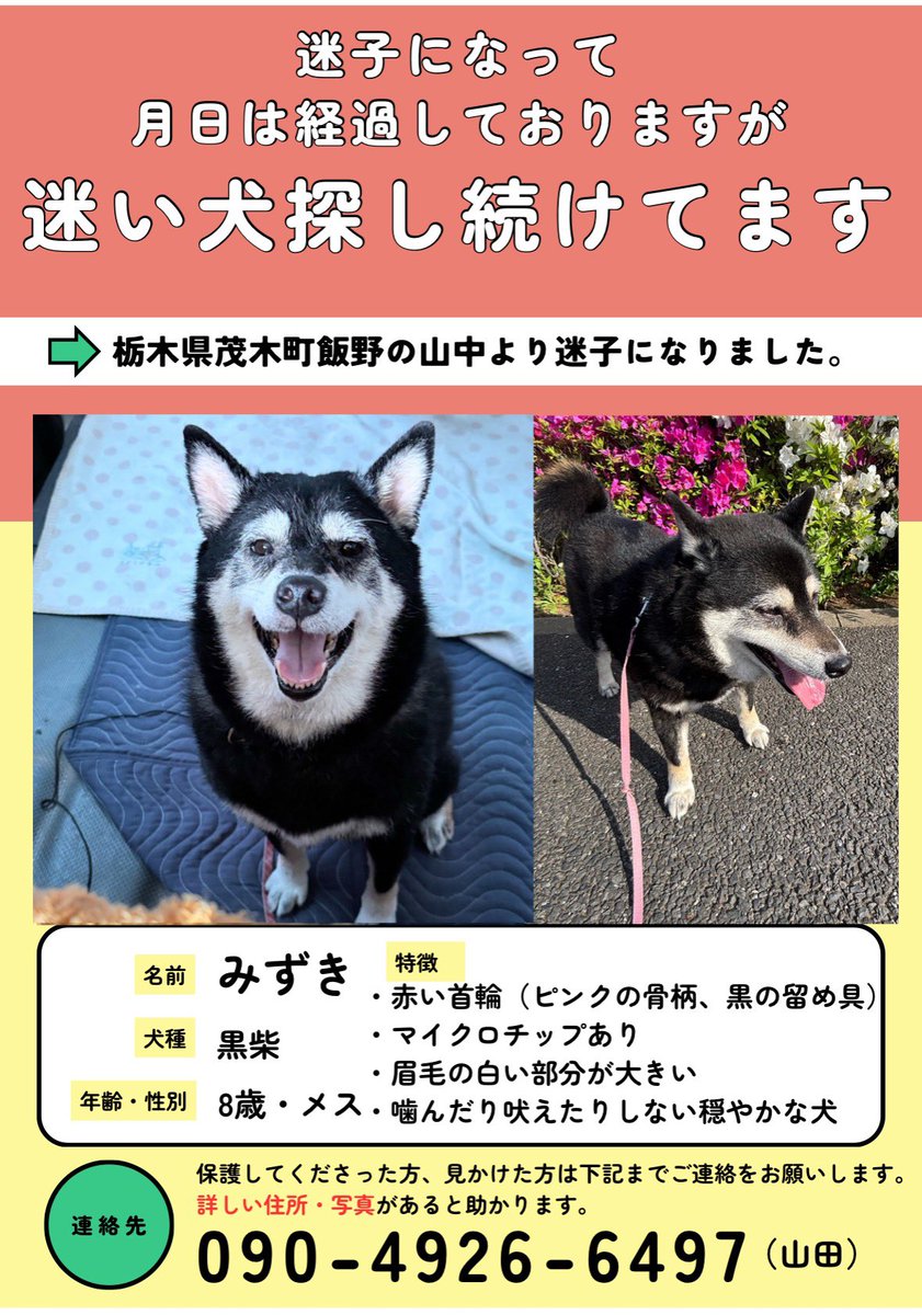 山田陵子 tweet media