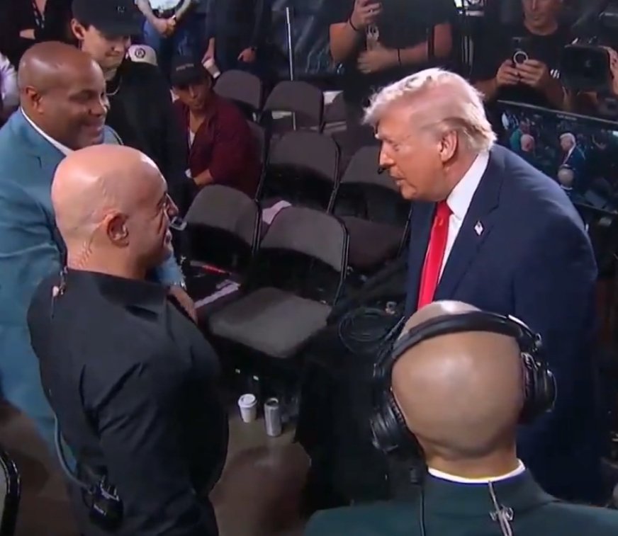 Brandie with a 🐝 tweet media