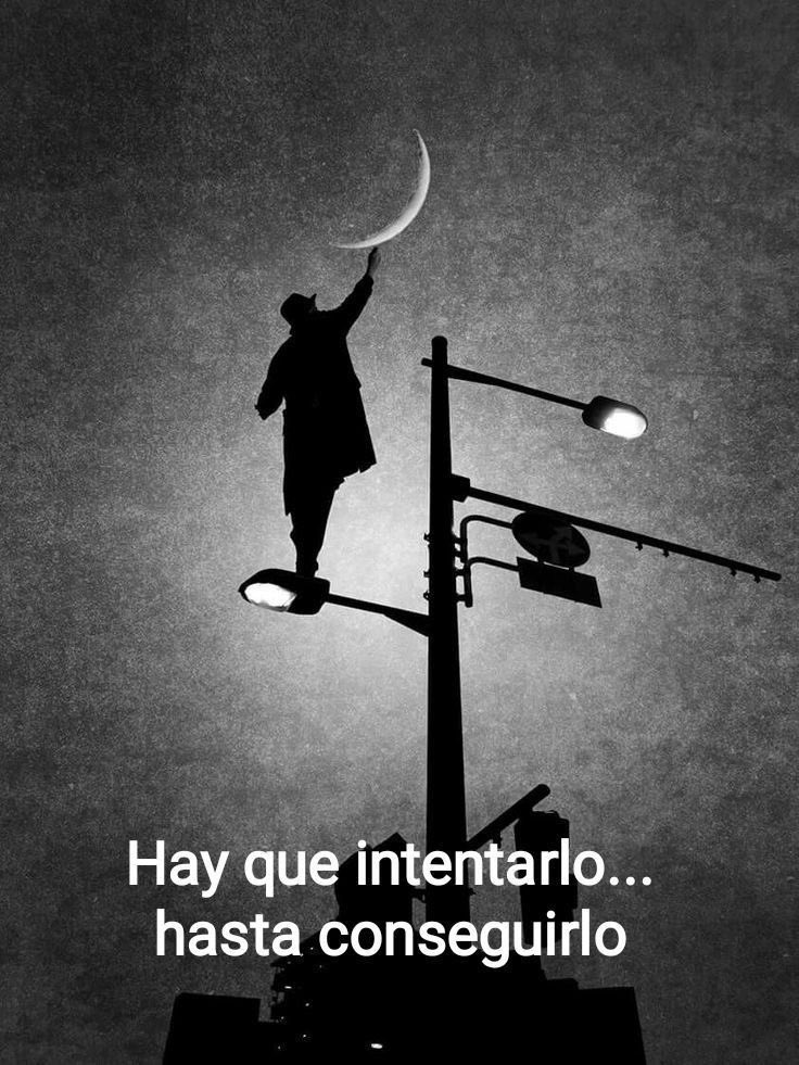 Disciplina tweet media