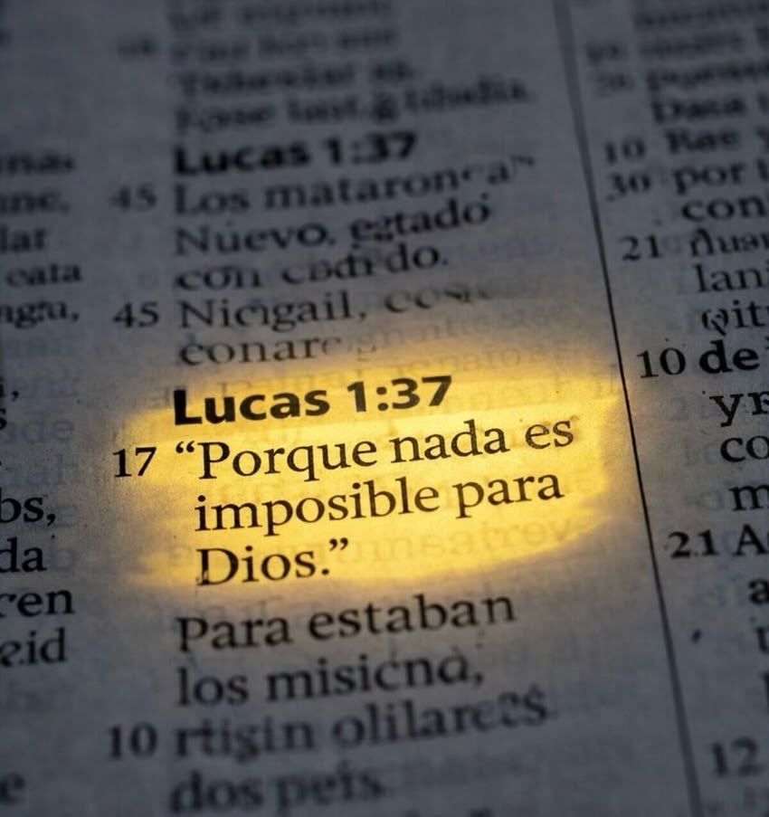 Disciplina tweet media