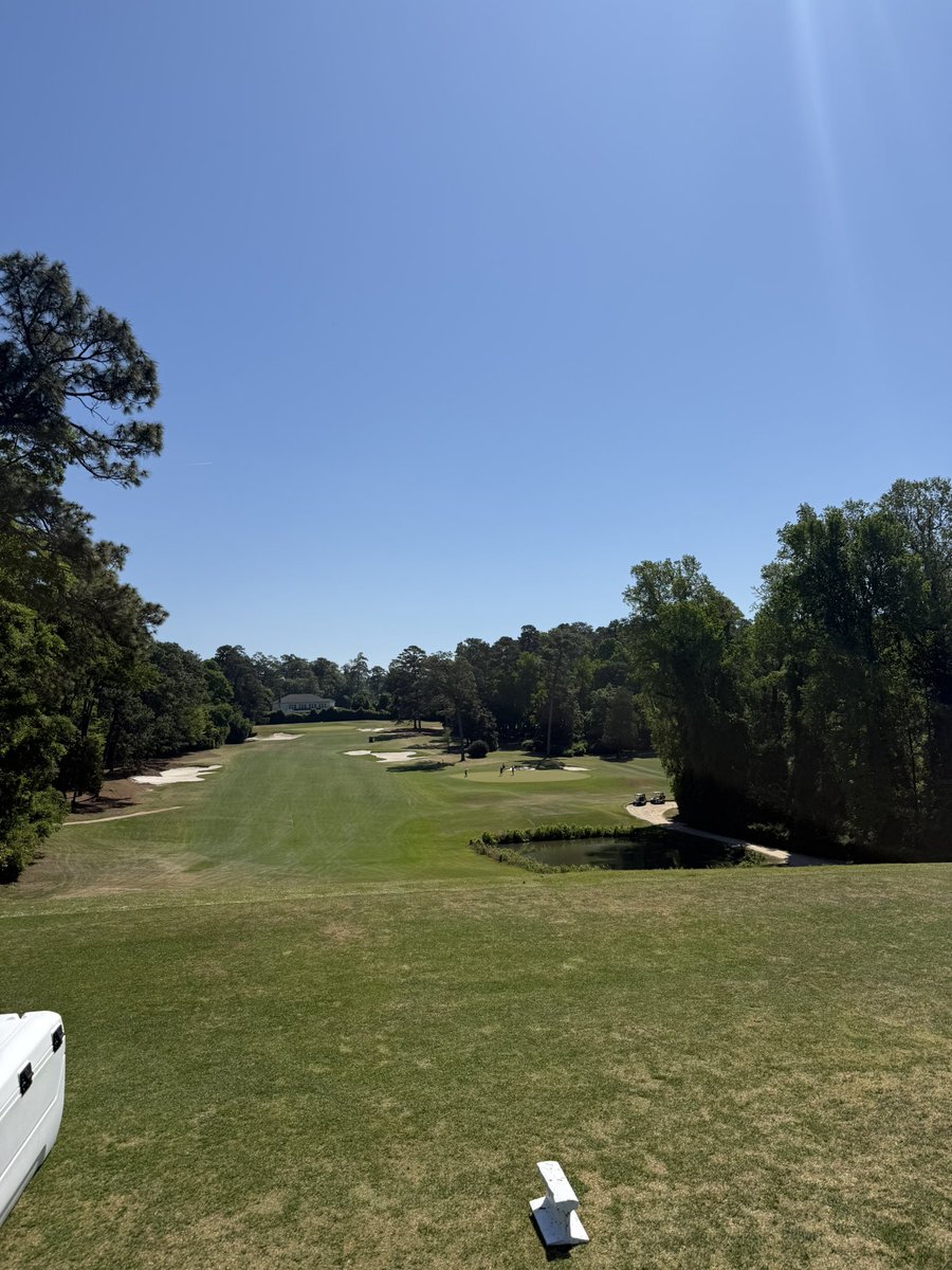 Mike Rotch tweet media