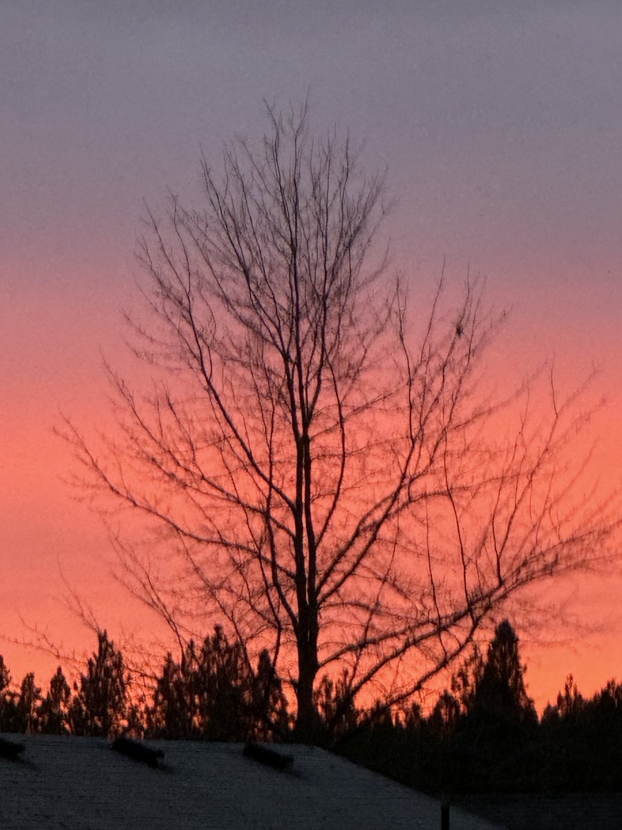 Jordan Wirth tweet media