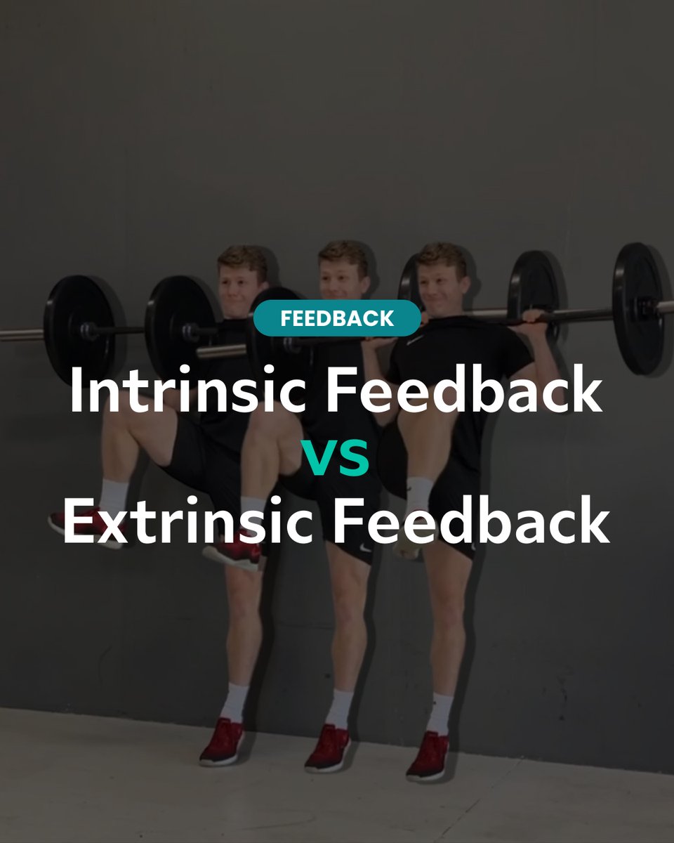 Frans Bosch Systems tweet media