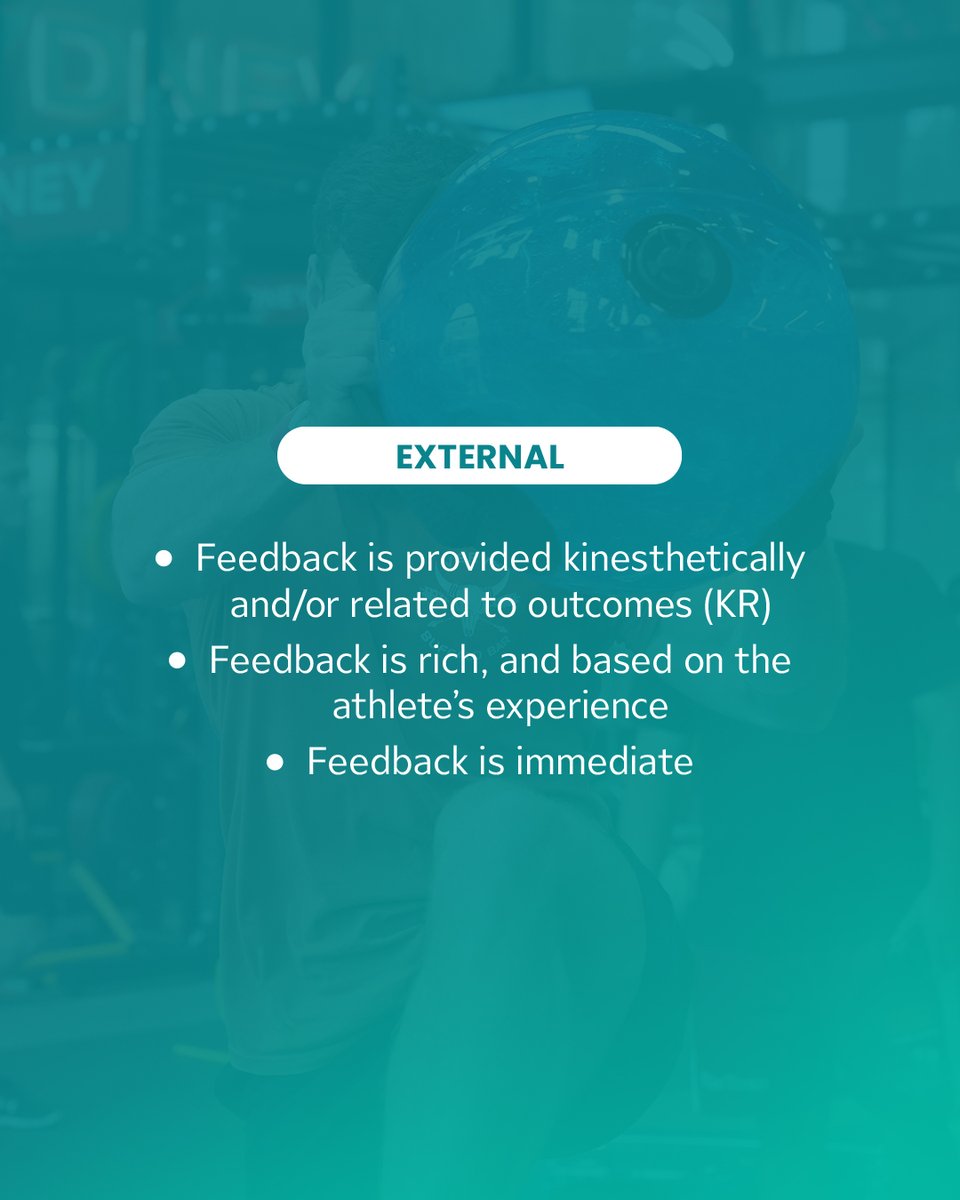 Frans Bosch Systems tweet media