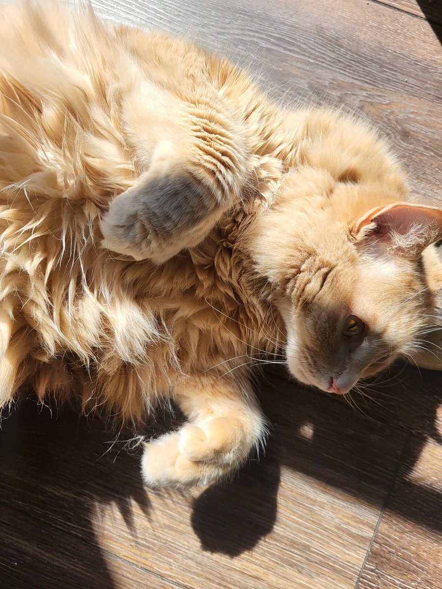 Don Spivey🦆 tweet media