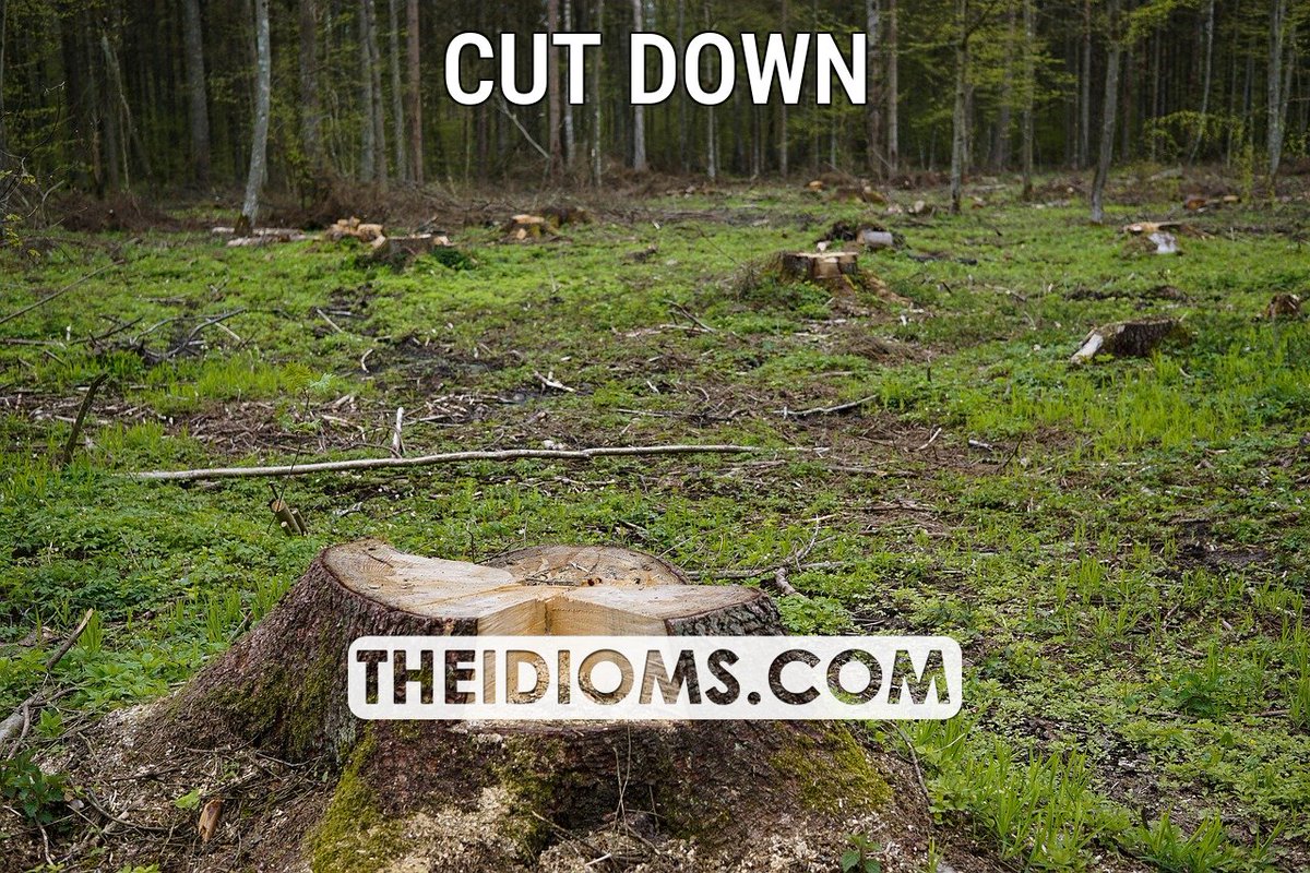 The Idioms tweet media