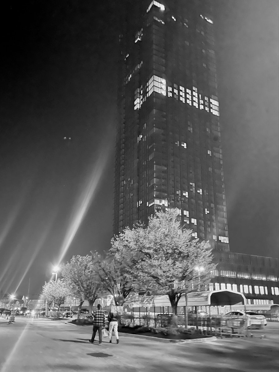 Digital Physics Film & Game 🎞️🕹️🤖 tweet media