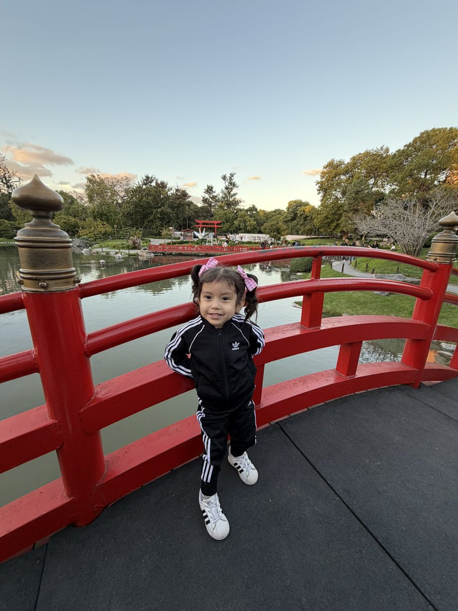 Luana ☆ tweet media