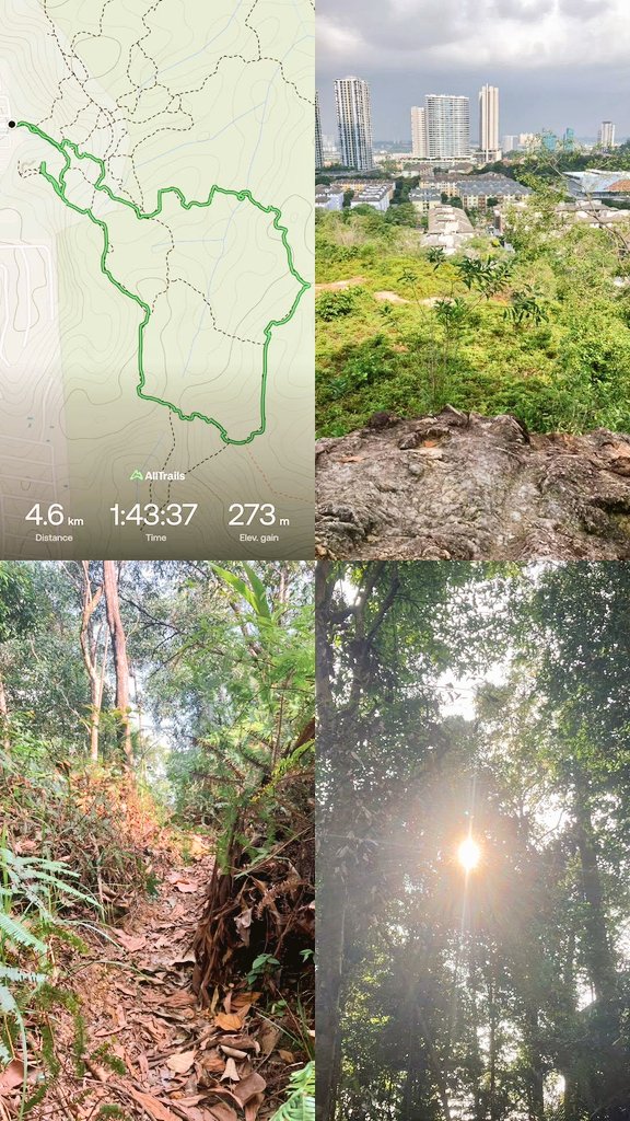 半年ぶりくらいにハイキング…ウォーキング？🥾
膝を壊してから誘われなくなっちゃったのでソロで
ゆっくり歩いても心肺がクソザコなのは前からだけど膝は前より危うい感じだった
頻度と強度落として安全に楽しみたいな