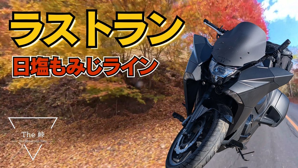 DON (GON×DON Channel) tweet media