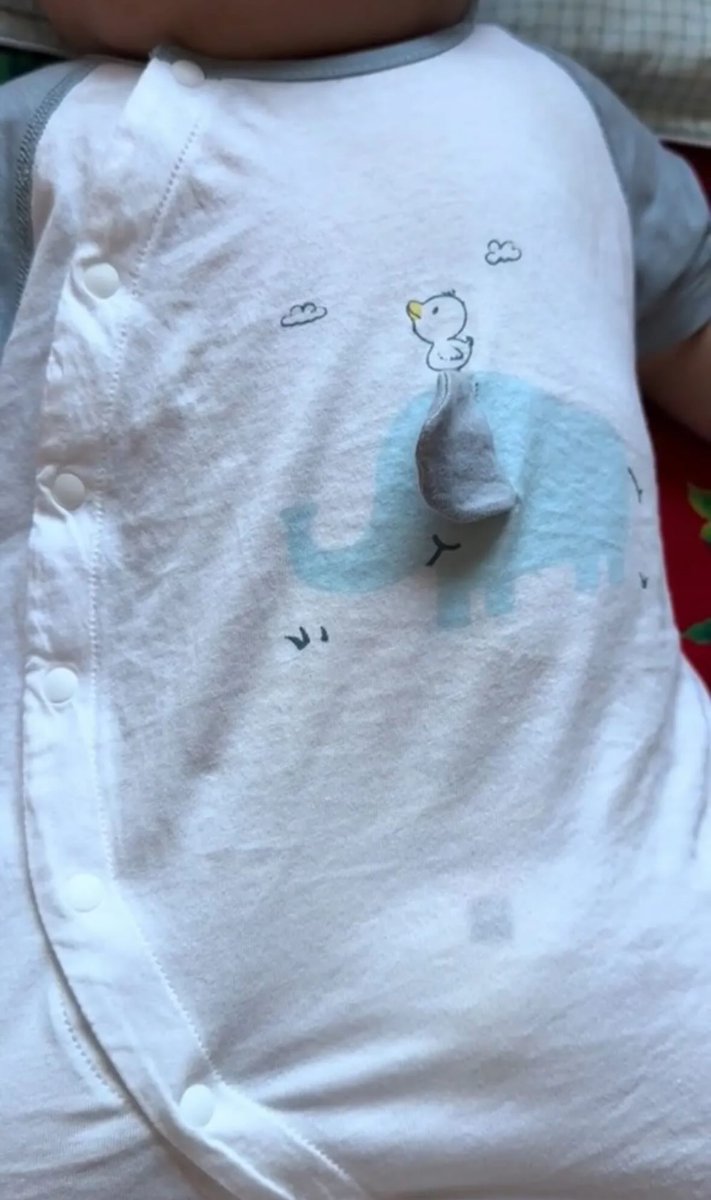 Gumilarchoice's tweet photo. kok bisa ya… cuma liat telinga gajah gerak dikit 😭 langsung bikin tenang  

gue kira biasa aja… ternyata ibu-ibu doang yang ngerti 🥹 https://t.co/8O74tYNIAr