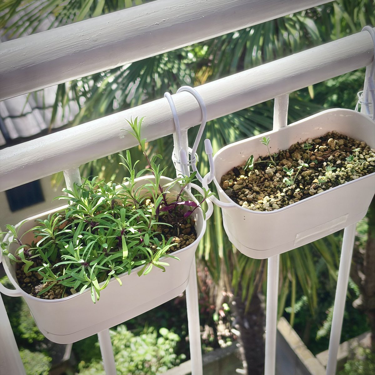 とっしー tweet media