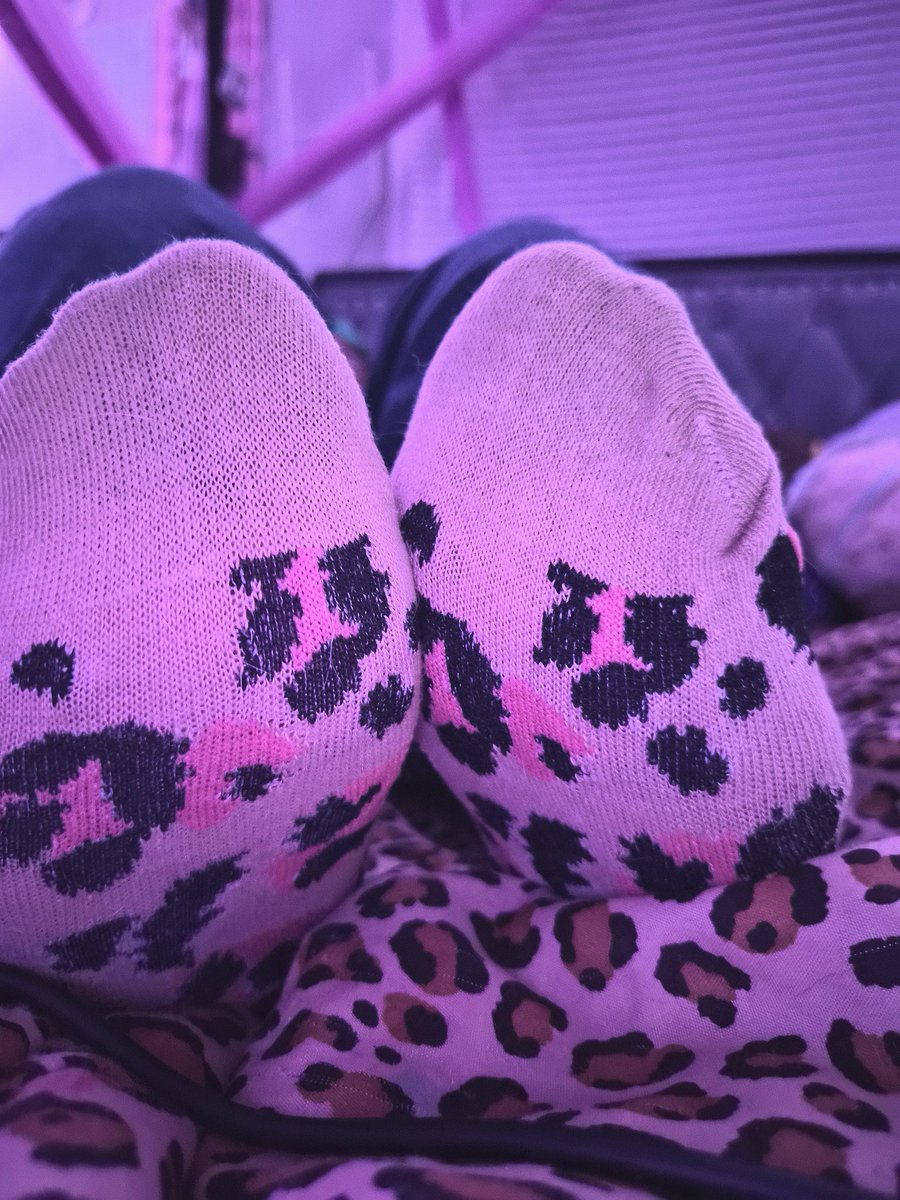 luvrgal444's tweet photo. Who missed me? #feetworshi̇p #footfetısh #feet #sellingcontent #teenpyt #ebonyfeet #socks https://t.co/x3oc37R9s3