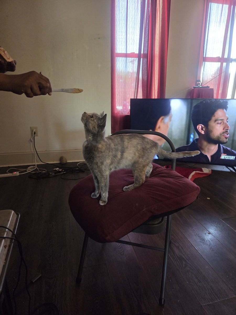 Michael Jefferson tweet media