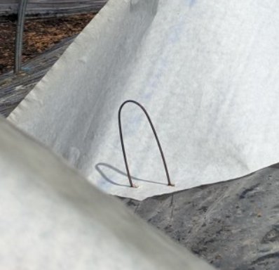 T L✨️💛(三平🎯🔰) tweet media