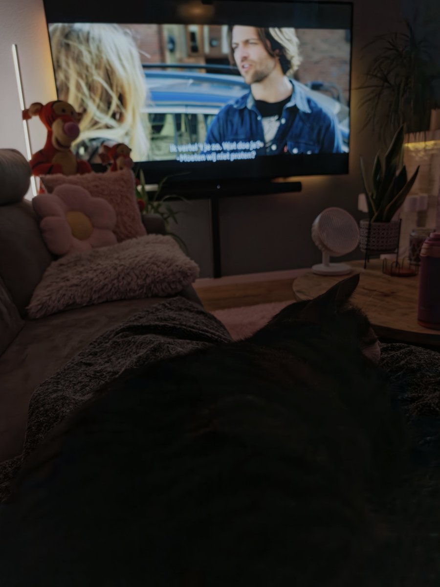 maickel1979's tweet image. Saampjes op de bank een horror film kijken op Netflix... #Lightsout
Poes en ik, chill modus.....
#zondag #weekend #movie #Netflix #cats #catsofX #X