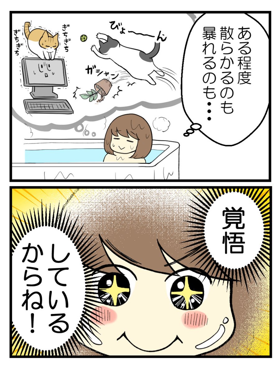 (1/2) 