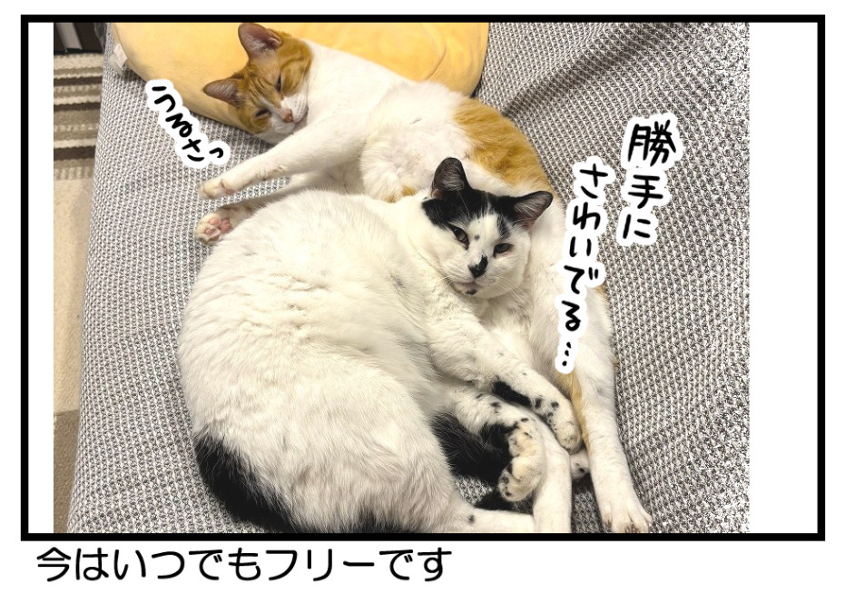 (2/2) 