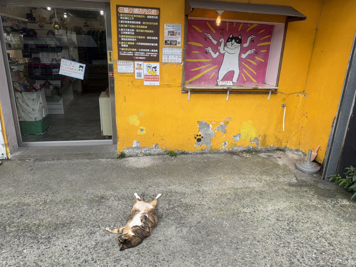 ともちんebay輸出Refurbishedセラー｜せどり｜BtoB｜ジャンク｜不動産投資｜SFC｜ tweet media