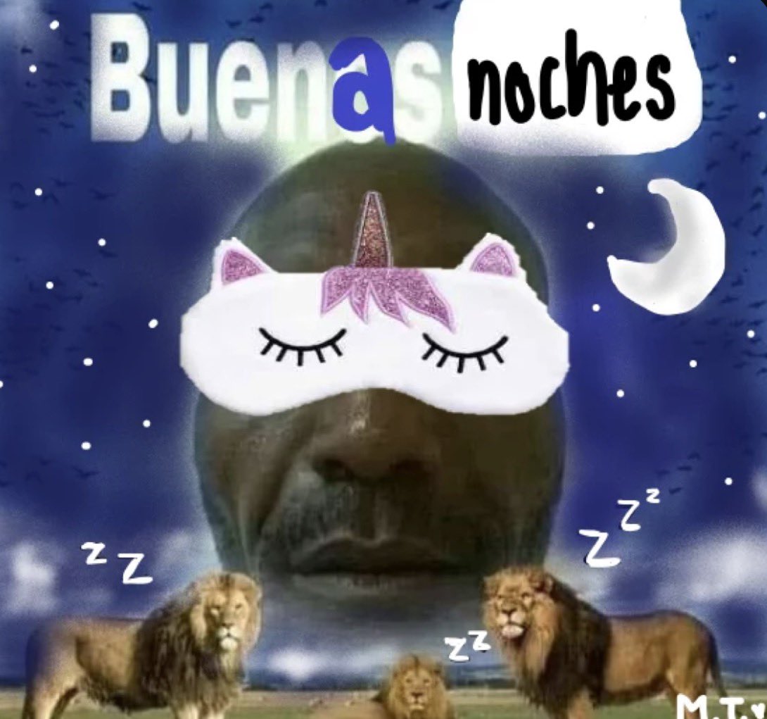 ☆〜nini☆♪🇦🇷 tweet media