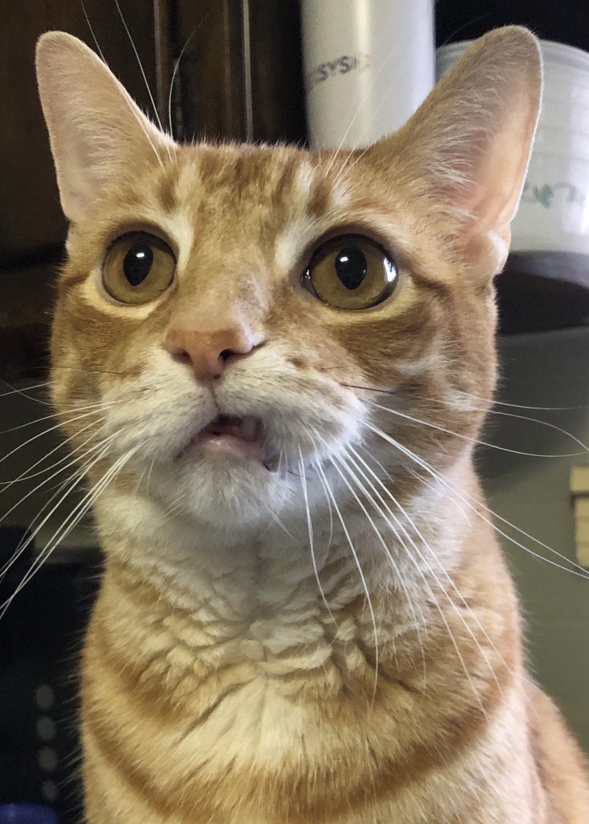 Theresa Sickles tweet media