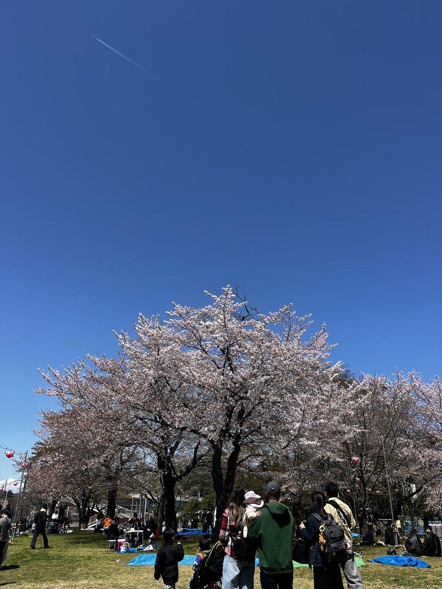 西公園お花見 tweet media