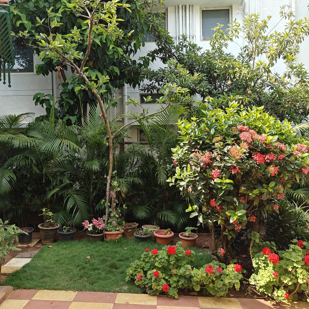 Velvetyvirgo's tweet photo. Stayed with one of my oldest friends in his beautiful house. Bangalore you beauty! https://t.co/l3S2Ee4L0u