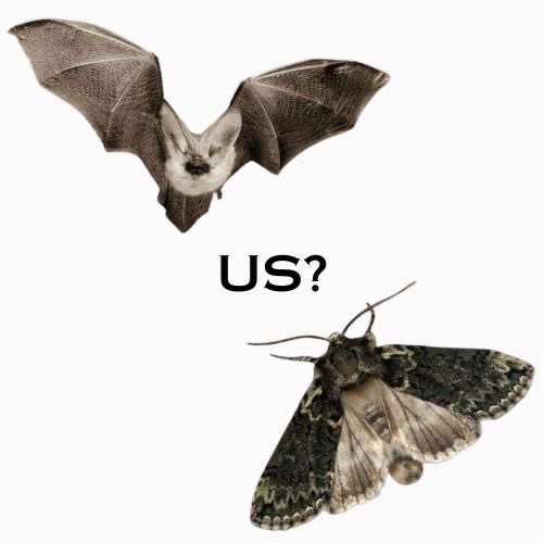 goth aesthetics tweet media