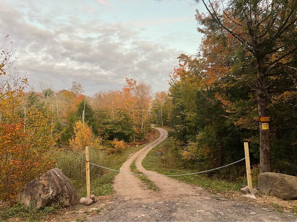 𝙷𝚒𝚌𝚔𝚖𝚊𝚗 tweet media