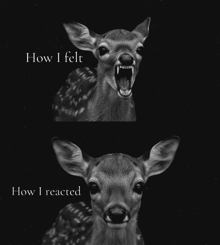 goth aesthetics tweet media