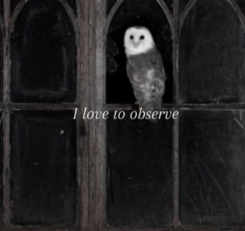 goth aesthetics tweet media