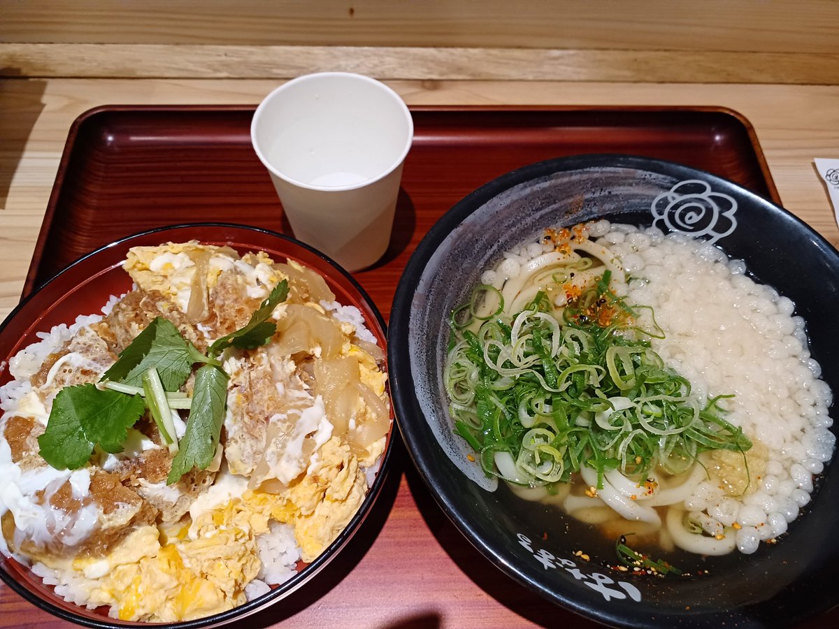 吉野家　株主優待券　はなまるうどん 優待生活】はなまるうどん×吉野家株主優待で“おいしい投資”始めよう