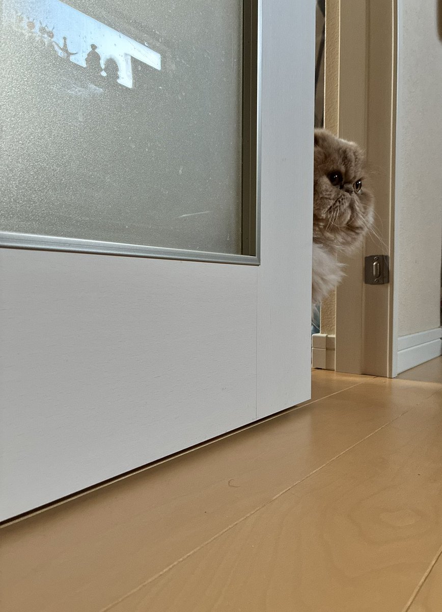 ムック tweet media