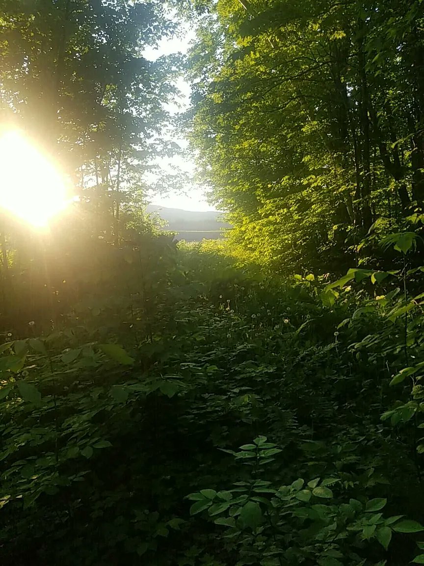 𝙷𝚒𝚌𝚔𝚖𝚊𝚗 tweet media