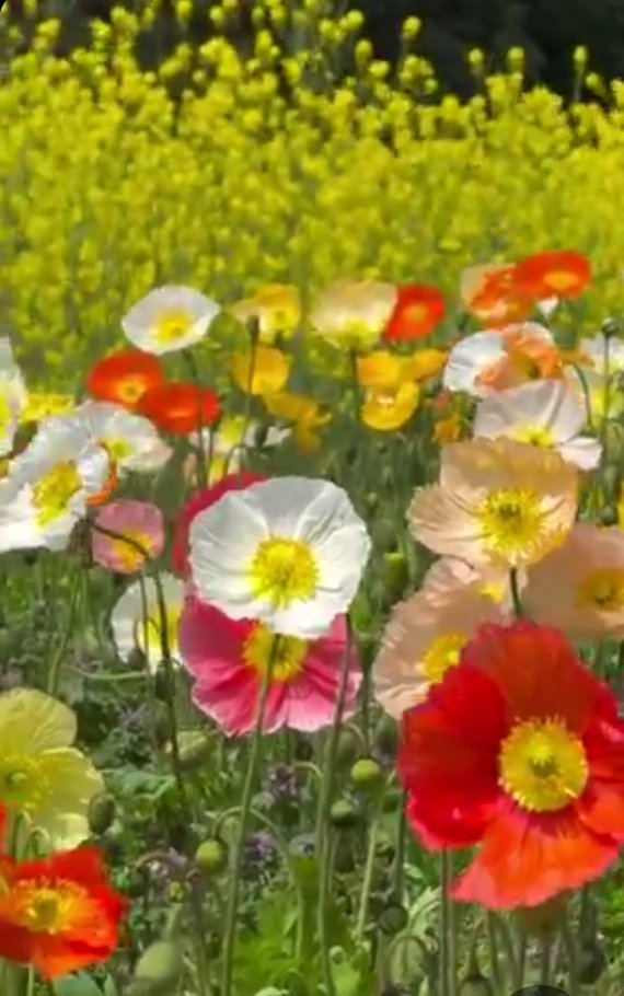 Deepak Kadakia🇮🇳ૐ tweet media