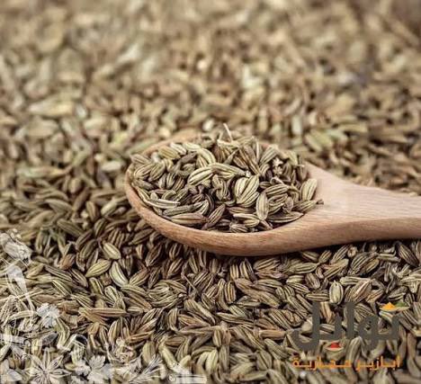 مراد قره مصطفى tweet media