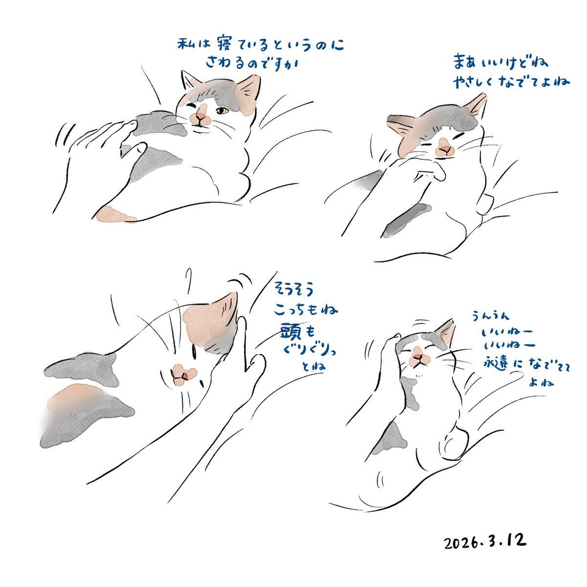 こやまこいこ tweet media