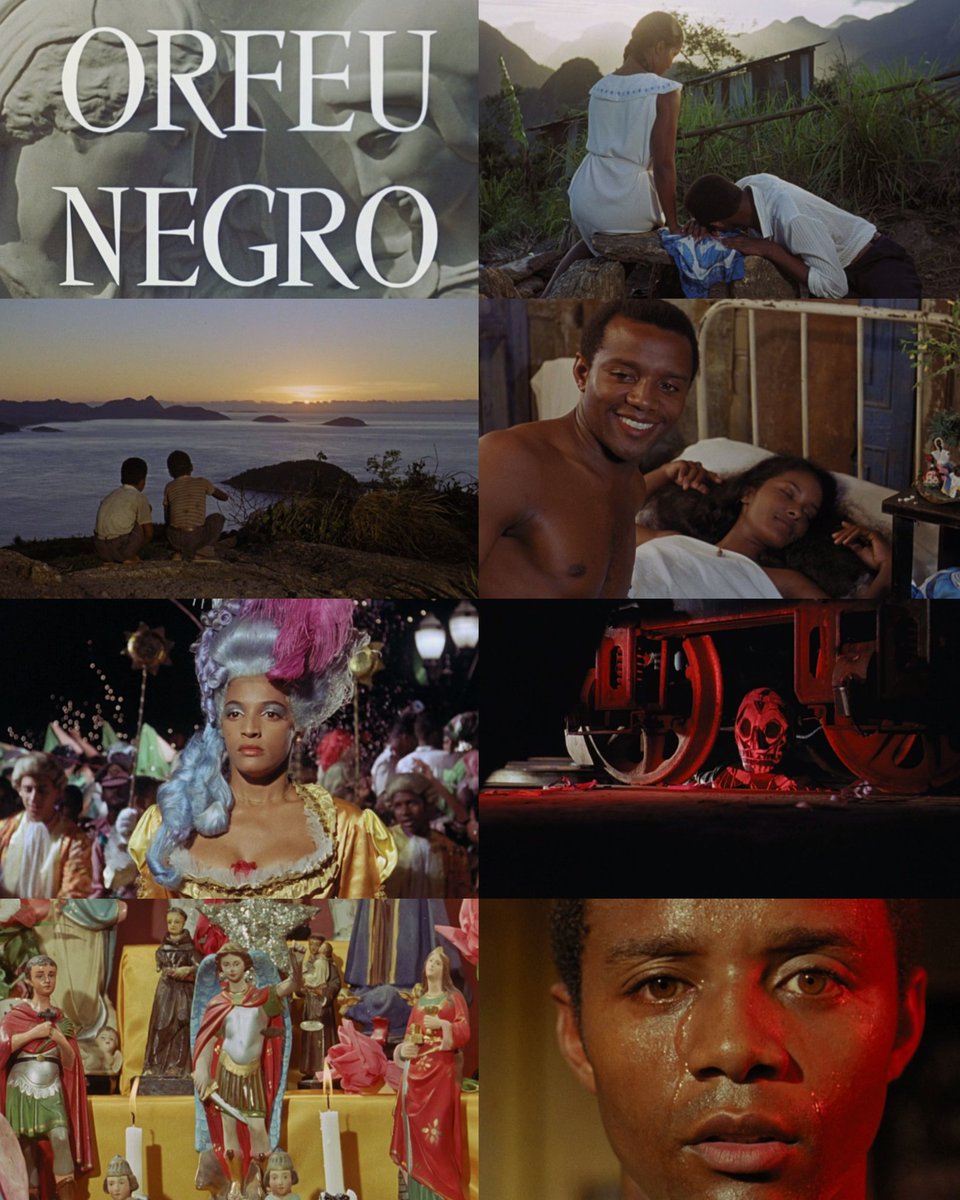 CINEMA 505 tweet media