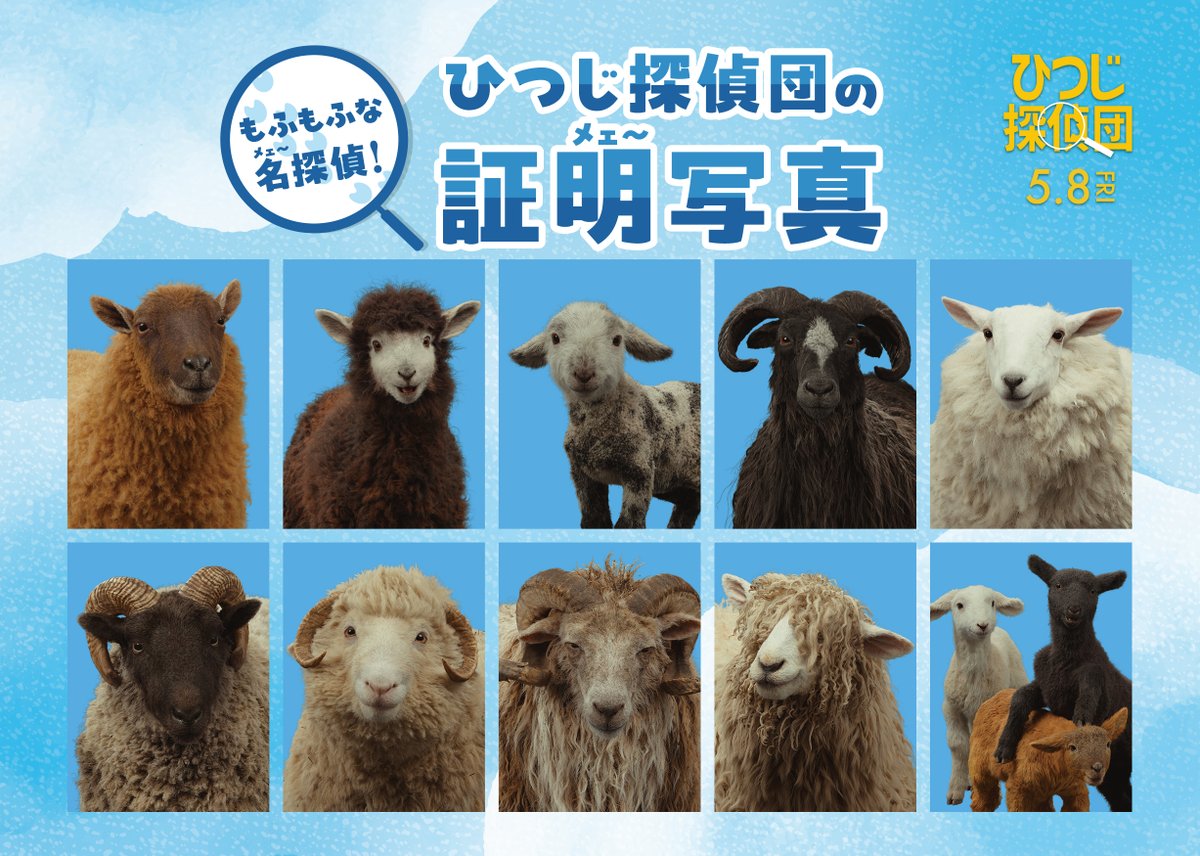 ┌ 🔍 映画『#ひつじ探偵団』🐏┐
 名(メェ〜)探偵の証明(メェ〜)写真
└──────────────┘

ぜひスマホケースの裏などに
ひつじ探偵団の証明(メェ〜)写真を
入れてみてくださいね🐏📱

印刷方法はリプライをチェック！👇

映画『ひつじ探偵団』
𝟱月𝟴日(金)公開🍀