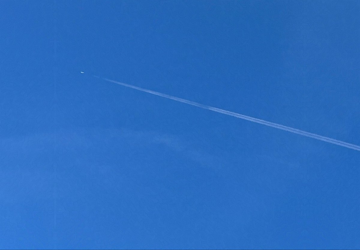 FUYUKO🐰🌱10/24〜個展@画人画廊 tweet media