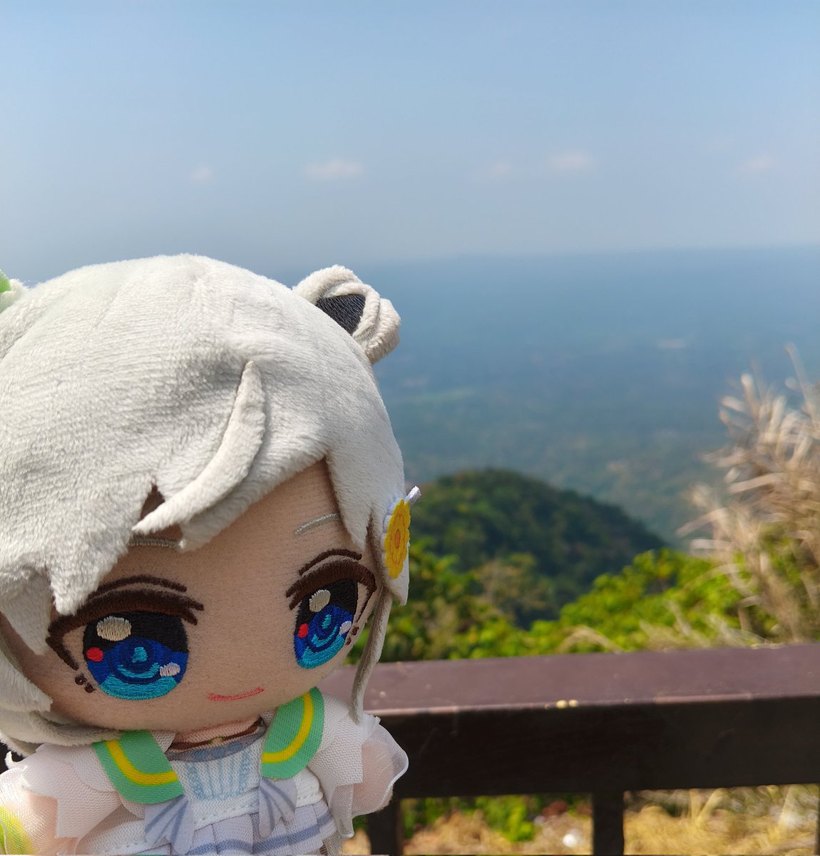 Seiun Sky tweet media