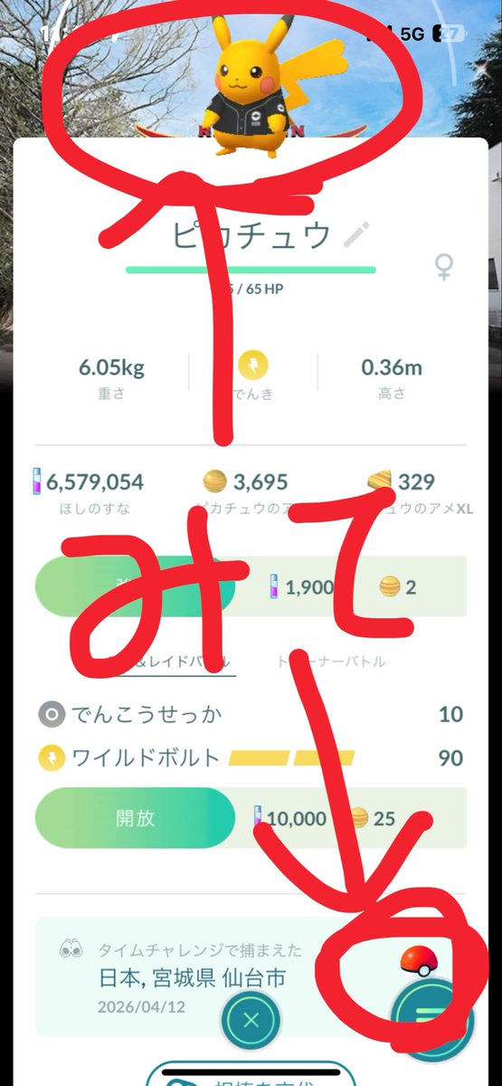 アサリのカニ tweet media