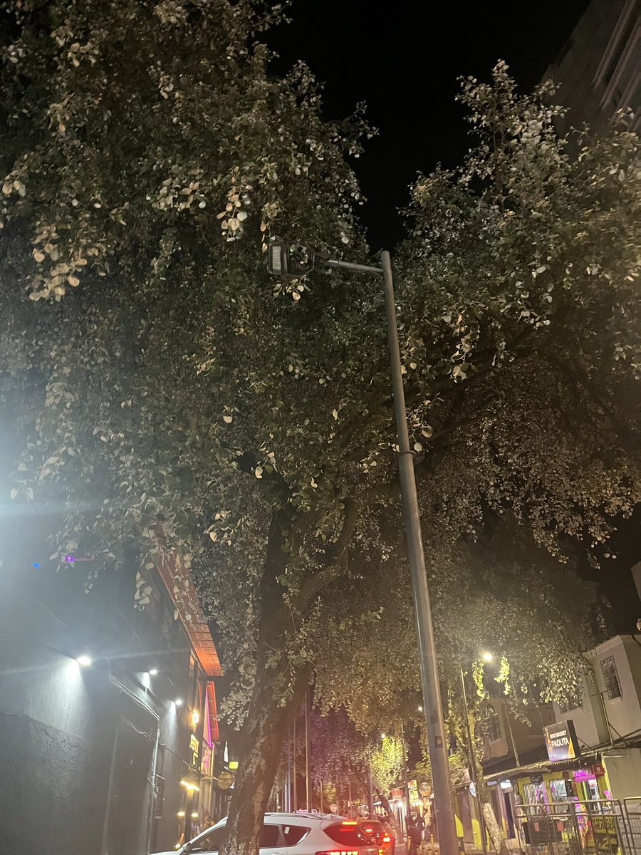 DandyDeQuito's tweet photo. @ElectricaQuito @ObrasQuito @zonalamariscal @MunicipioQuito buen día por favor a quien corresponda, alumbrado público, calle Calama desde Reina Victoria hasta 6 de diciembre. Ya va una semana sin funcionar.
#QuitoRenace https://t.co/HZn02DXN0x