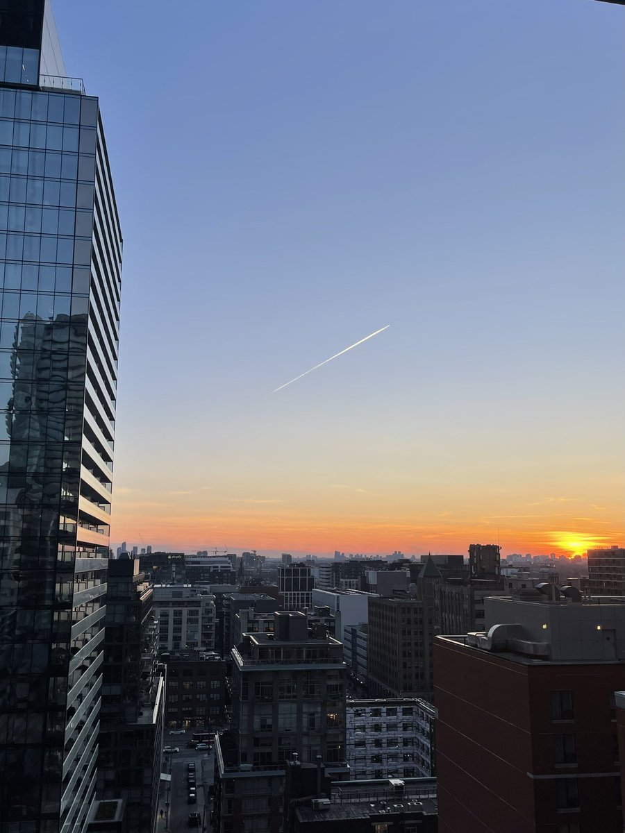 sheffield ⋆ ˚｡⋆୨୧˚ tweet media