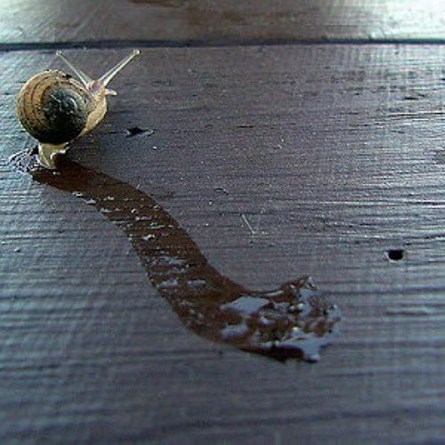 maya! ⁷ tweet media