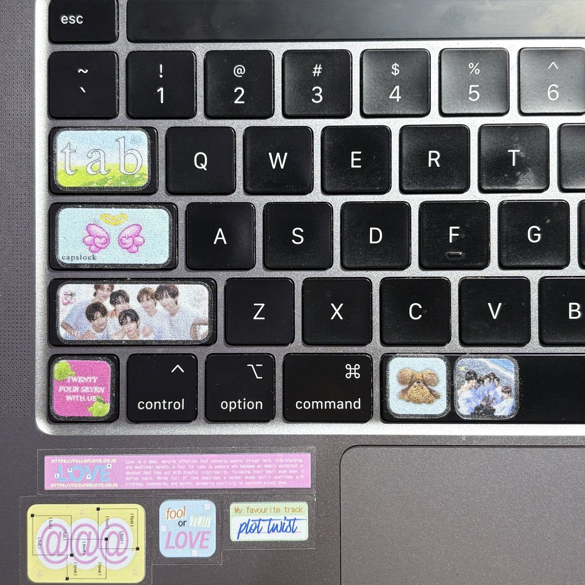 ditty ✿ tweet media