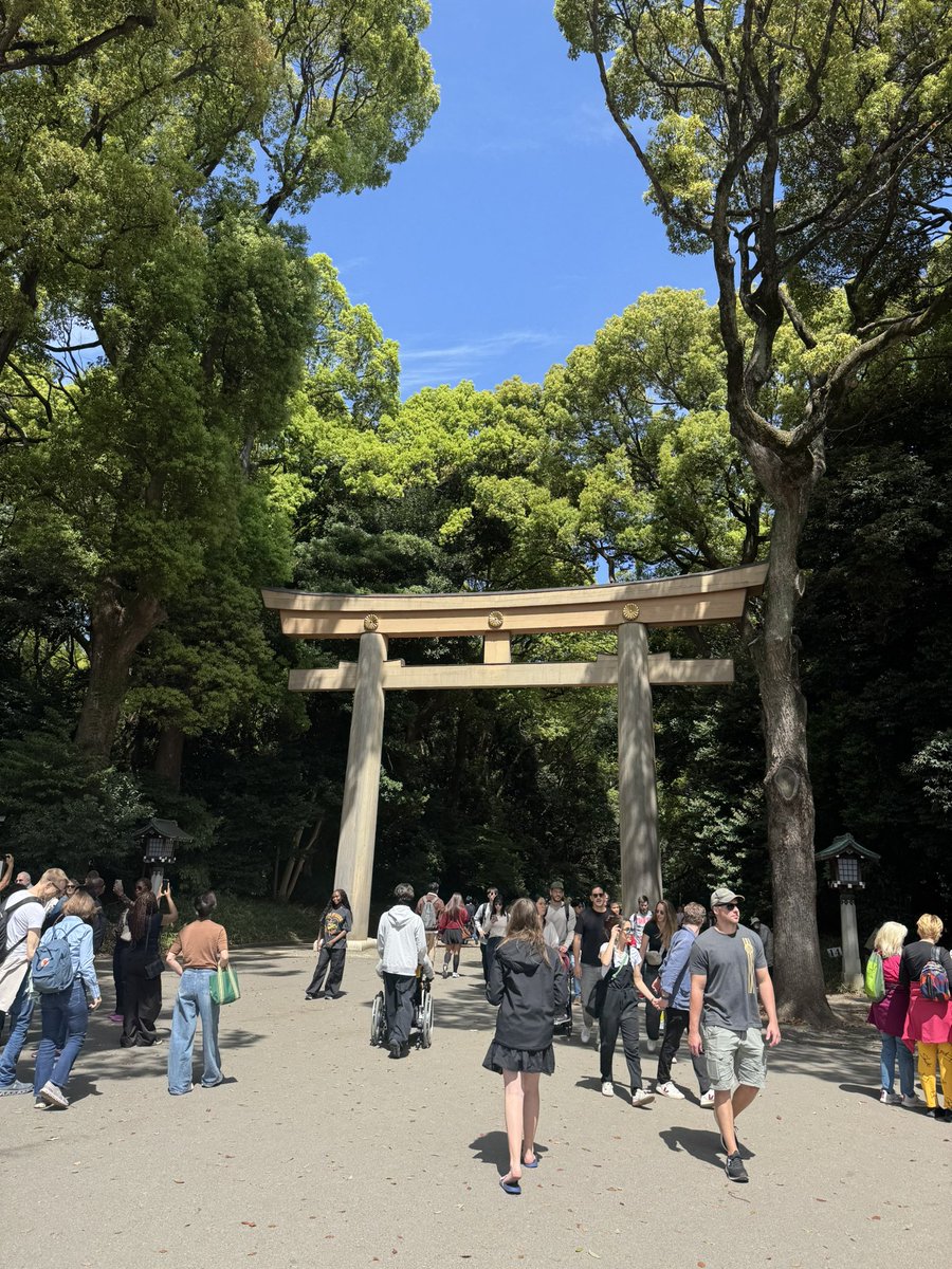 ぞく😽 tweet media