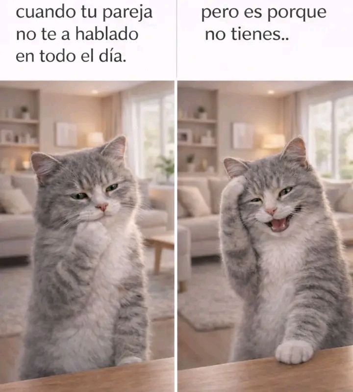 Yamileth. tweet media