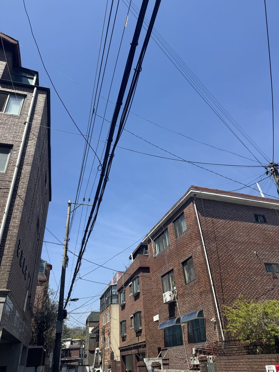 빡침의 사진계 tweet media