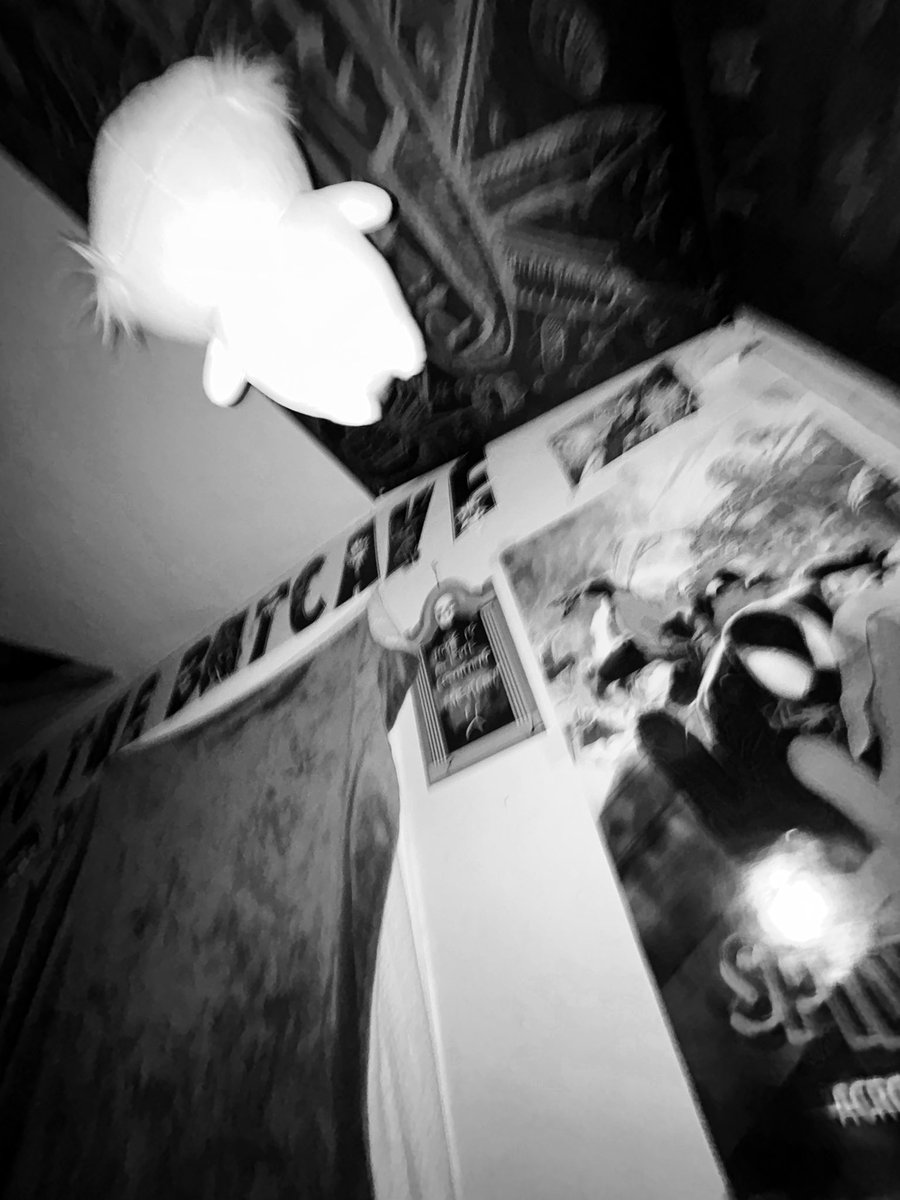 gauze。 #1 iowa fan tweet media